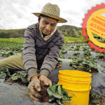 Colombie : Réforme agraire et rurale globale, économie solidaire, lutte contre la faim et le trafic de drogue et consolidation de la paix territoriale.