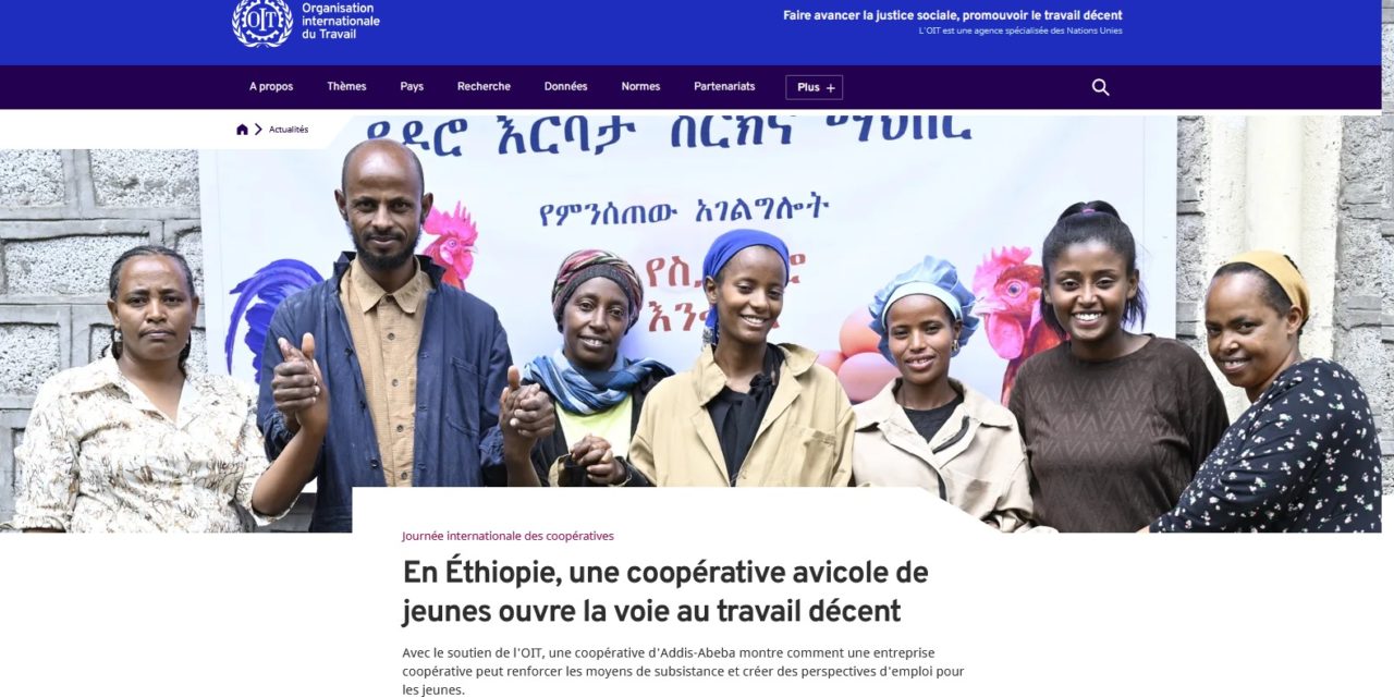 Éthiopie : une coopérative à Addis-Abeba avec le soutien de l&rsquo;OIT